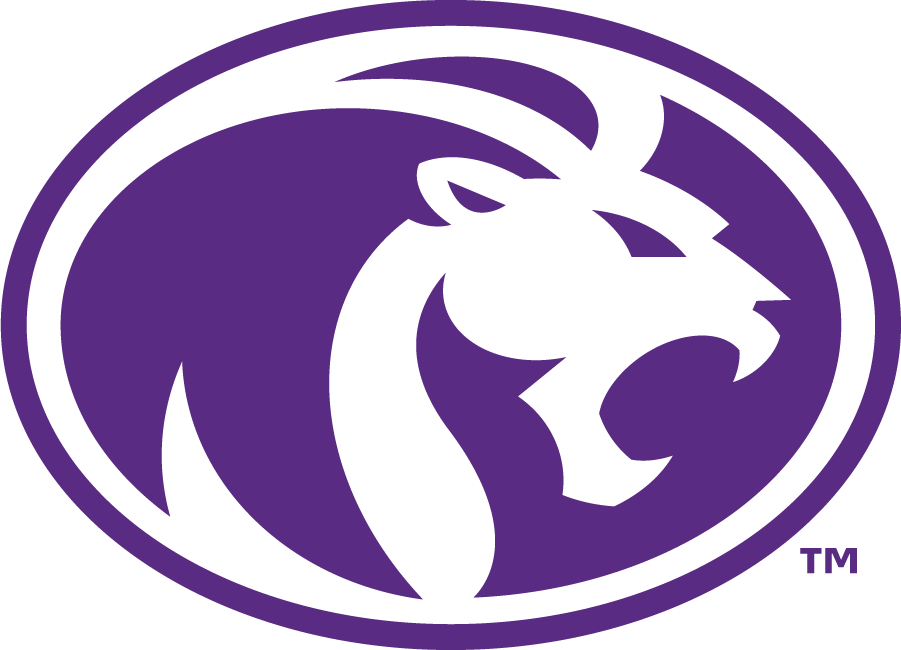 North Alabama Lions 2022-Pres Secondary Logo v2 diy DTF decal sticker